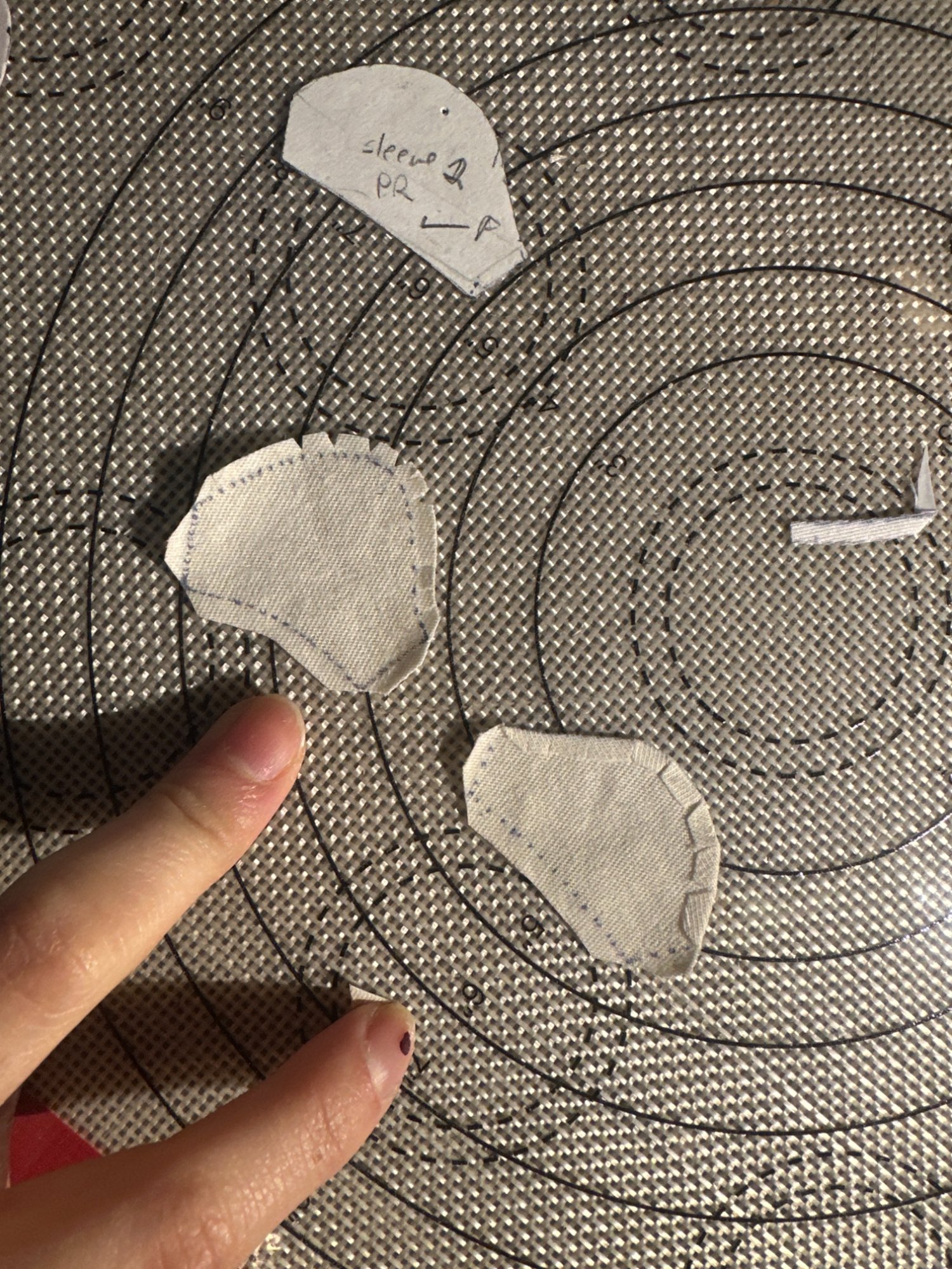 Shirt on maquette, back view