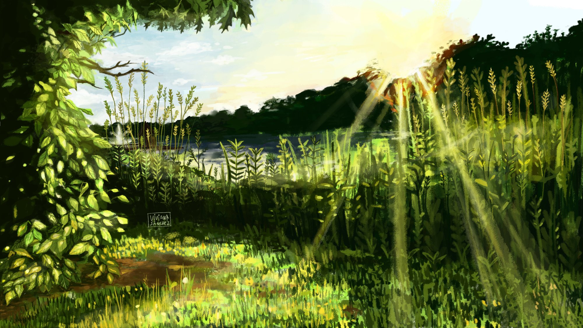 Landscape with light rays